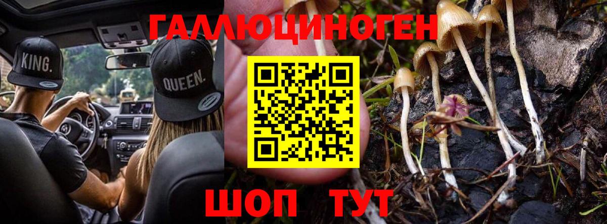 Псилоцибиновые грибы Psilocybe  Галлюциногенные грибы Psilocybine cubensis  Вход с VPN  Лесосибирск 